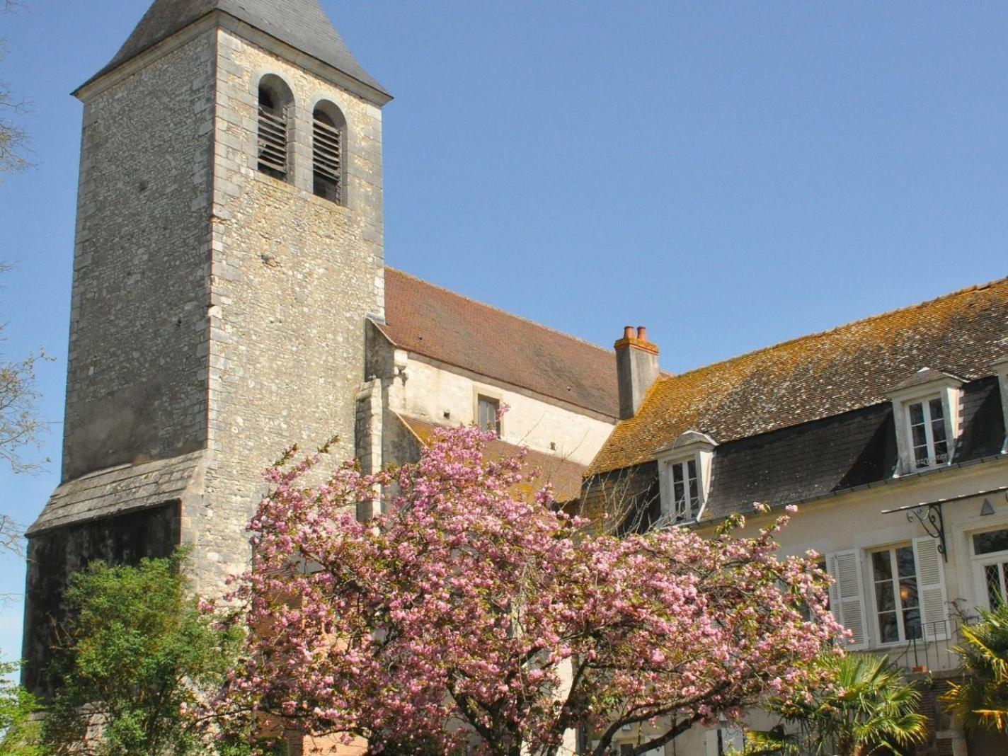 Готель Le Prieure Saint Agnan Cosne-Cours-Sur-Loire Екстер'єр фото